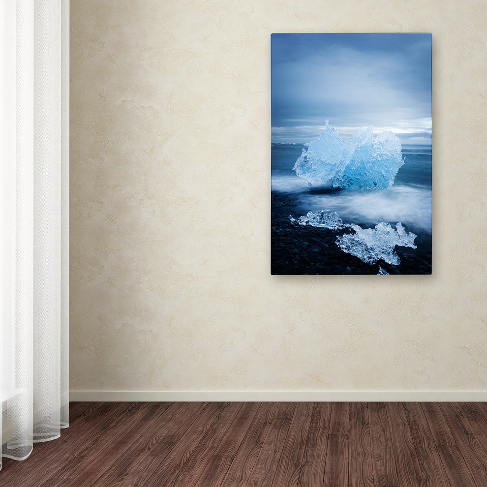 Philippe Sainte-Laudy 'Ice Jewelry' Canvas Art