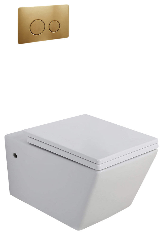 In-Wall Toilet Set, 2"x6" Carrier and Tank, Satin brass Round Metal Actuators