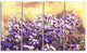 Purple Little Wild Flowers, Floral Canvas Art Print, 48"x28", 4 Panels