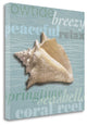 "Beach Collection IV" By Tandi Venter, Giclee Print on Gallery Wrap Canvas