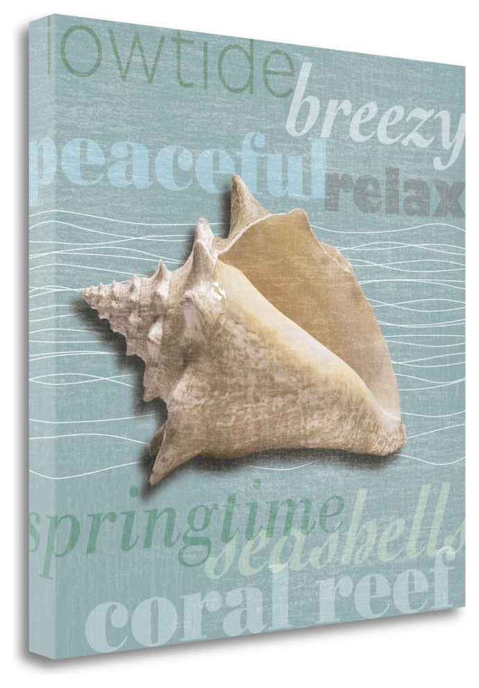 "Beach Collection IV" By Tandi Venter, Giclee Print on Gallery Wrap Canvas