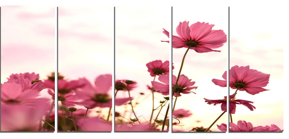 Cosmos Flowers Meadow At Sunset, Floral Canvas Art Print, 60"x28", 5 Panels