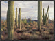 Safford Peak and Saguaro Saguaro National Park, Arizona, 16"x12"