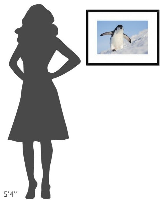"Running Up That Hill" Framed Digital Print by Hillebrand Breuker, 26"x20"