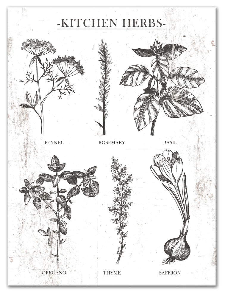 Six Distressed Kitchen Herbs 18"x24" Print on Canvas