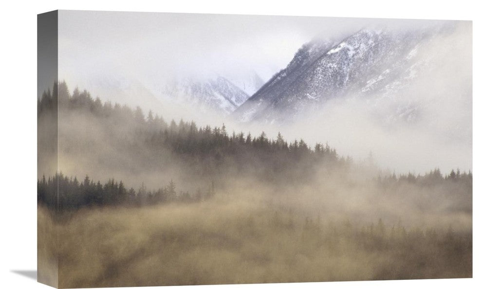 "Fog In Old Growth Forest, Chilkat River Wilderness, Alaska" Artwork, 18" x 12"