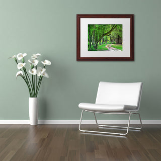 'Intimate Landscape' Matted Framed Canvas Art by Philippe Sainte-Laudy