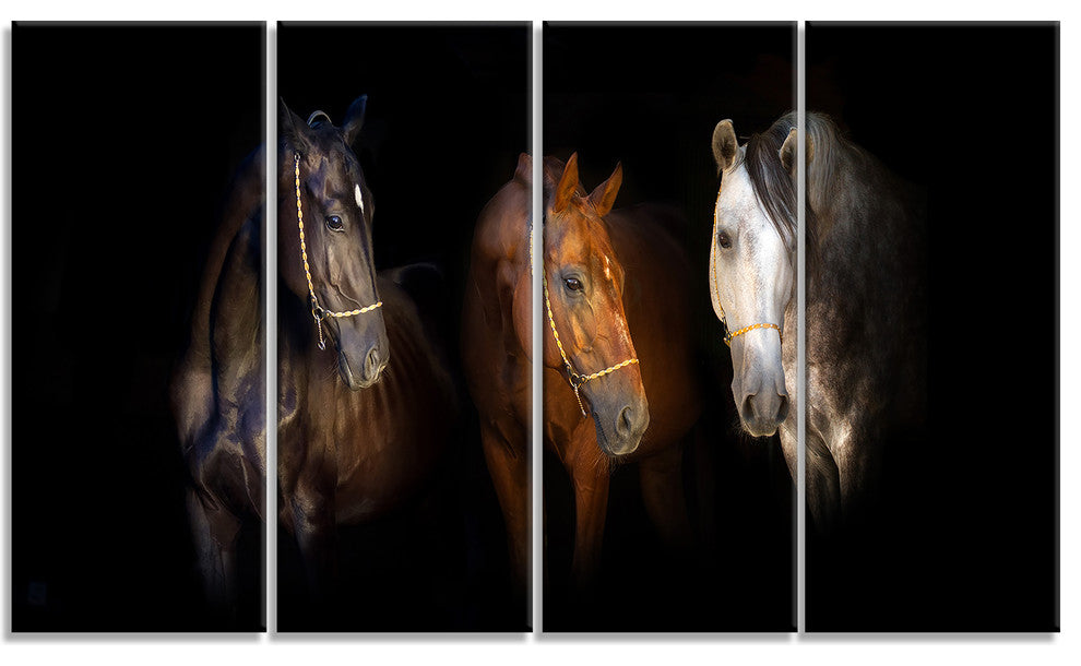 Three Horses with Golden Bridle, Animal Canvas Art Print, 48"x28", 4 Panels