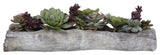 Uttermost Charita Contemporary Plastic Iron Cement Succulents in Green
