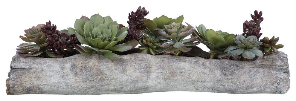 Uttermost Charita Contemporary Plastic Iron Cement Succulents in Green
