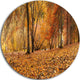 Brown Autumn Panorama, Landscape Photo Round Metal Wall Art, 23"