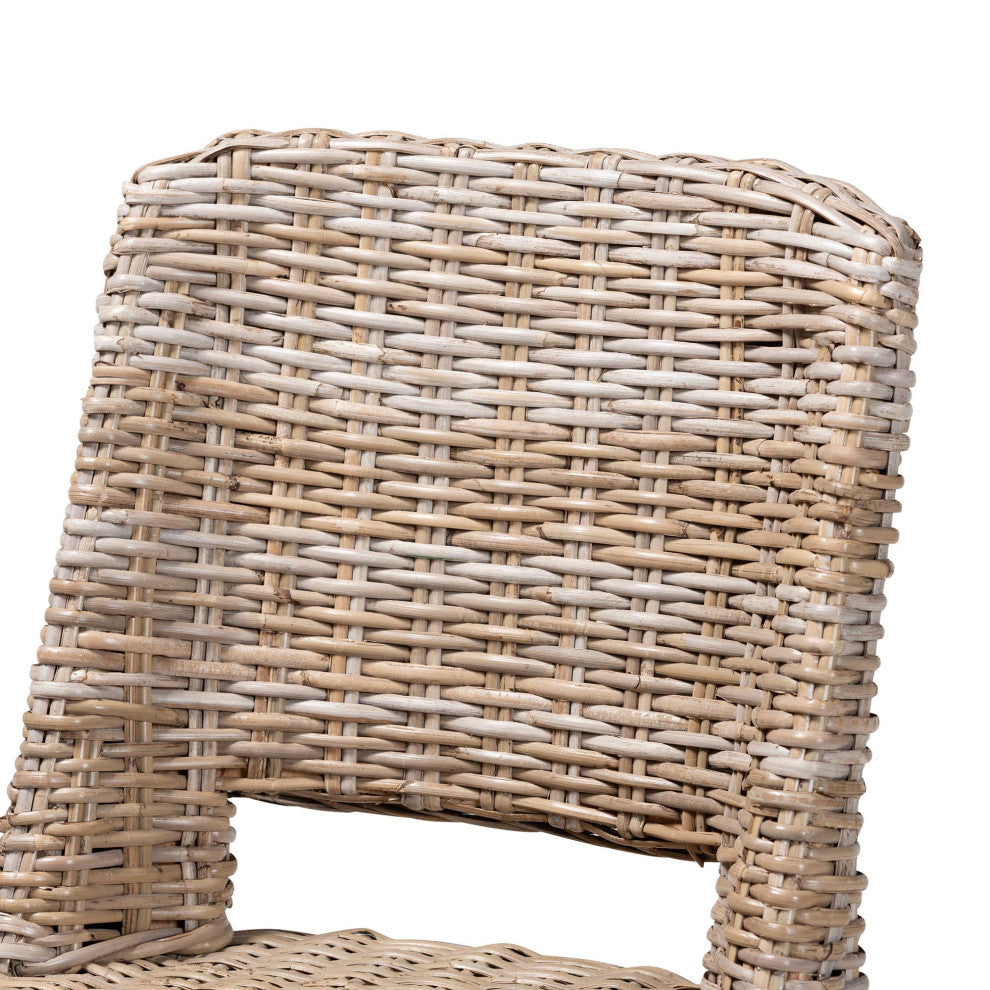 Denisse Modern Rattan and Wood Dining Chair