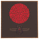 Deny Designs Hector Mansilla Sacred Sun Framed Wall Art