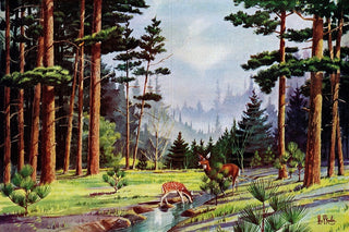 "Minnesota Woods" Painting Print on Wrapped Canvas