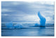 Philippe Sainte-Laudy 'Flying Blue' Canvas Art