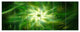 Rotating Fractal Green Fireworks, Floral Canvas Art Print, 70"x28", 6 Panels