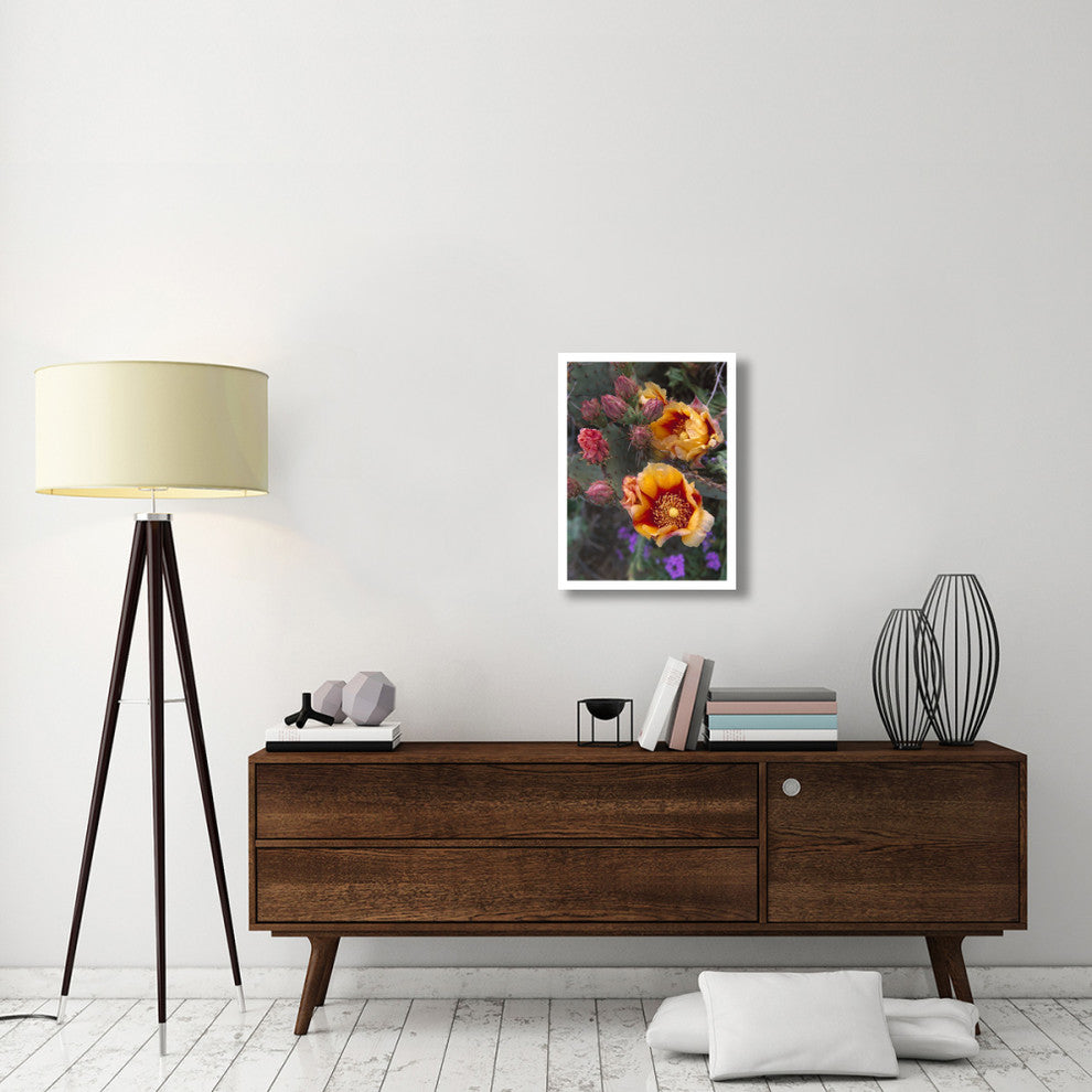 "Opuntia in bloom, North America" Digital Paper Print by Tim Fitzharris, 20"x26"