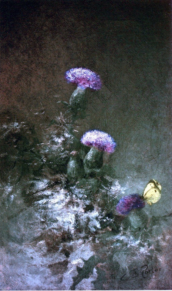 Charles Ethan Porter Thistles with Butterfly - 18" x 27" Premium Canvas Print