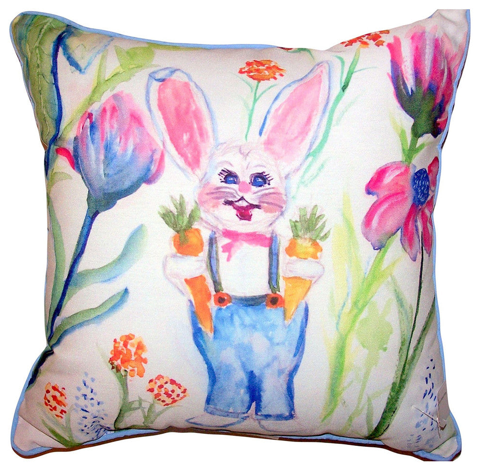 Mr. Farmer Small Outdoor/Indoor Pillow 12x12 - Set of Two