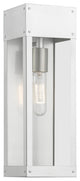 Barrett 1 Light Painted Satin Nickel, Brushed Nickel Candle Outdoor Wall Lantern