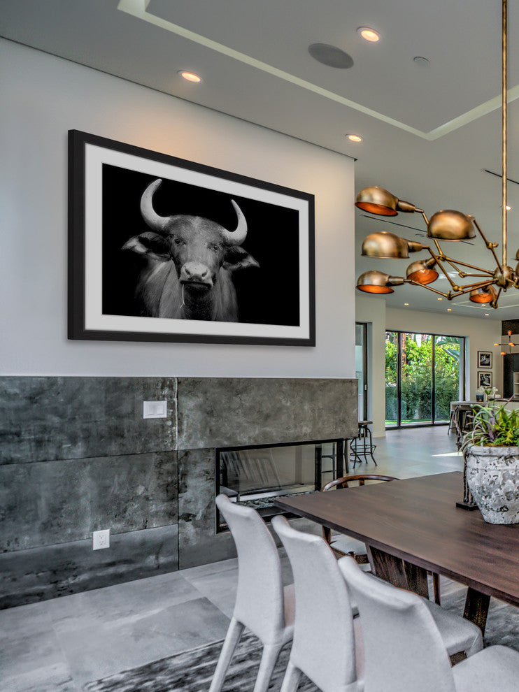 Marmont Hill, "Cow Stare" Framed Painting Print, 36x24