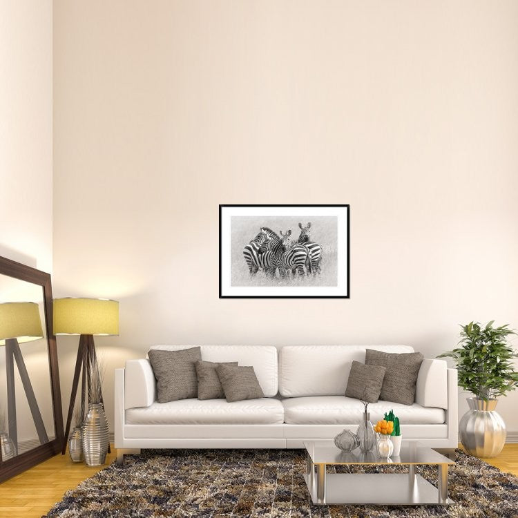 "Zebras" Framed Digital Print by Kirill Trubitsyn, 44x32"