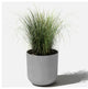 Pure Series Kona Planter, Grey, 10 Inches, 1 Pack