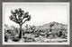 "Joshua Tree National Park" Framed Painting Print, 18"x12"