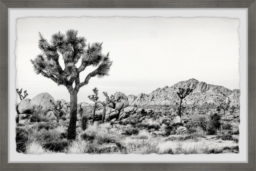 "Joshua Tree National Park" Framed Painting Print, 18"x12"