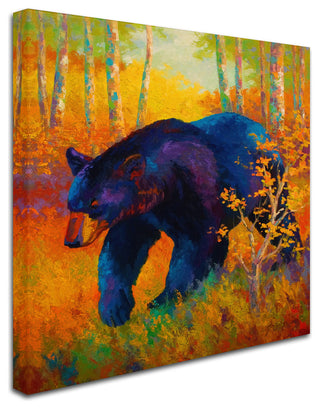 Marion Rose 'In To Spring Black Bear' Canvas Art, 35" x 35"