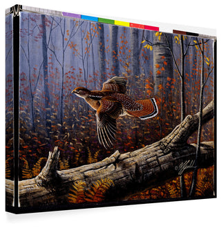 Wilhelm Goebel 'Windfall Glider Ruffed Grouse' Canvas Art, 47"x35"