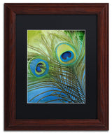 Color Bakery 'Peacock Candy I' Art, Wood Frame, Black Matte, 11"x14"