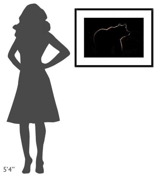 "Highlight" Framed Digital Print by Gorazd Golob, 32x24"