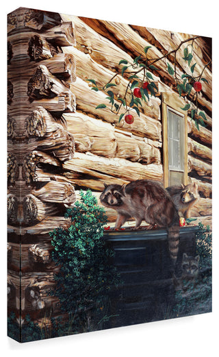 "Raccoons" by D. Rusty Rust, Canvas Art