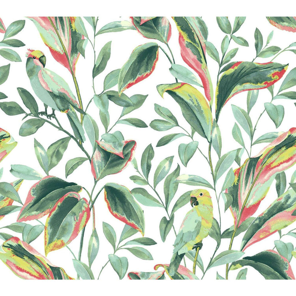 Tropical Love Birds Wallpaper