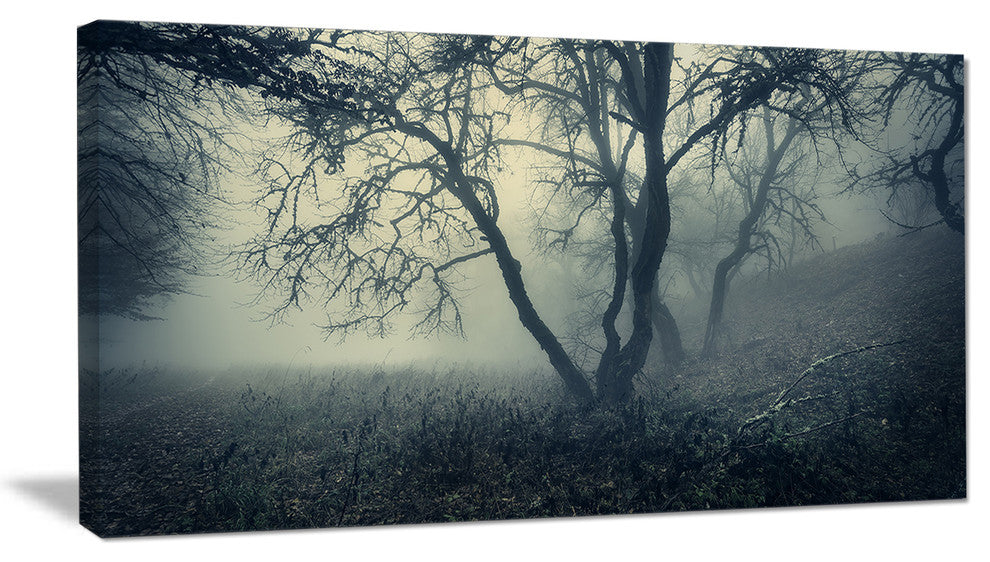 "Forest With Green Fog in Morning" Landscape Photo Wall Art, 32"x16"