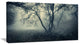 "Forest With Green Fog in Morning" Landscape Photo Wall Art, 32"x16"