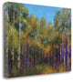 "Aspen Autumn" By Thomas Stotts, Giclee Print on Gallery Wrap Canvas