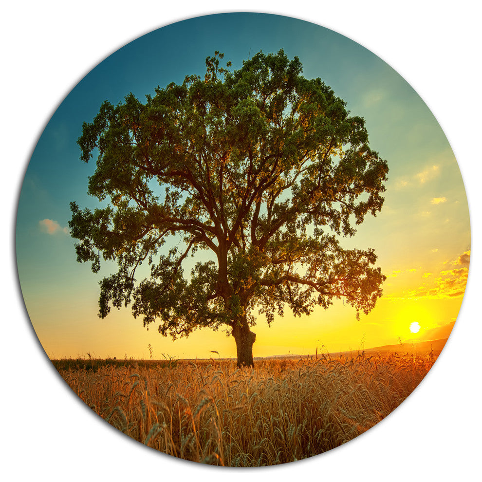 Big Green Tree In Summer Field, Modern Trees Round Metal Wall Art, 11"