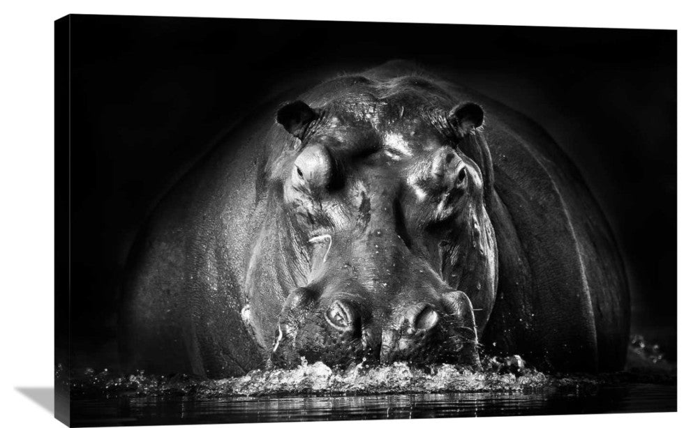 "Power" Stretched Canvas Giclee by Gorazd Golob, 36x24"