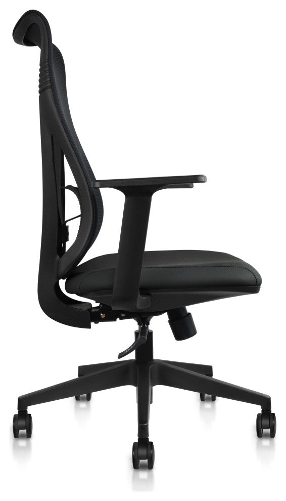 Ergonomic Office Desk Chair With Adjustable Lumbar High Mesh Back, Black