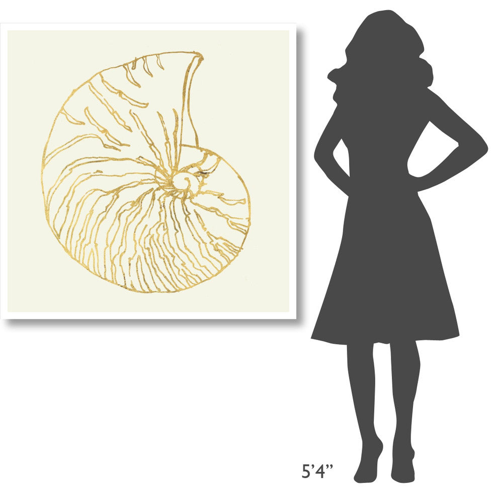 "Coastal Breeze Shell Sketches VII" Paper Print by Anne Tavoletti, 42"x42"