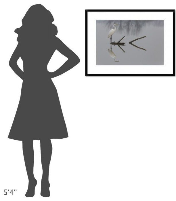 "Reflections" Framed Digital Print by Mauro Montuori, 32x24"