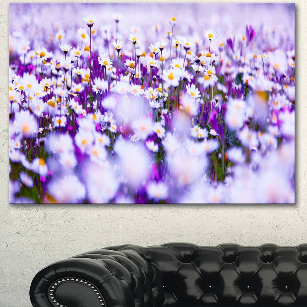 Daisy Field Photography Panorama, Floral Canvas Art Print, 40"x30"