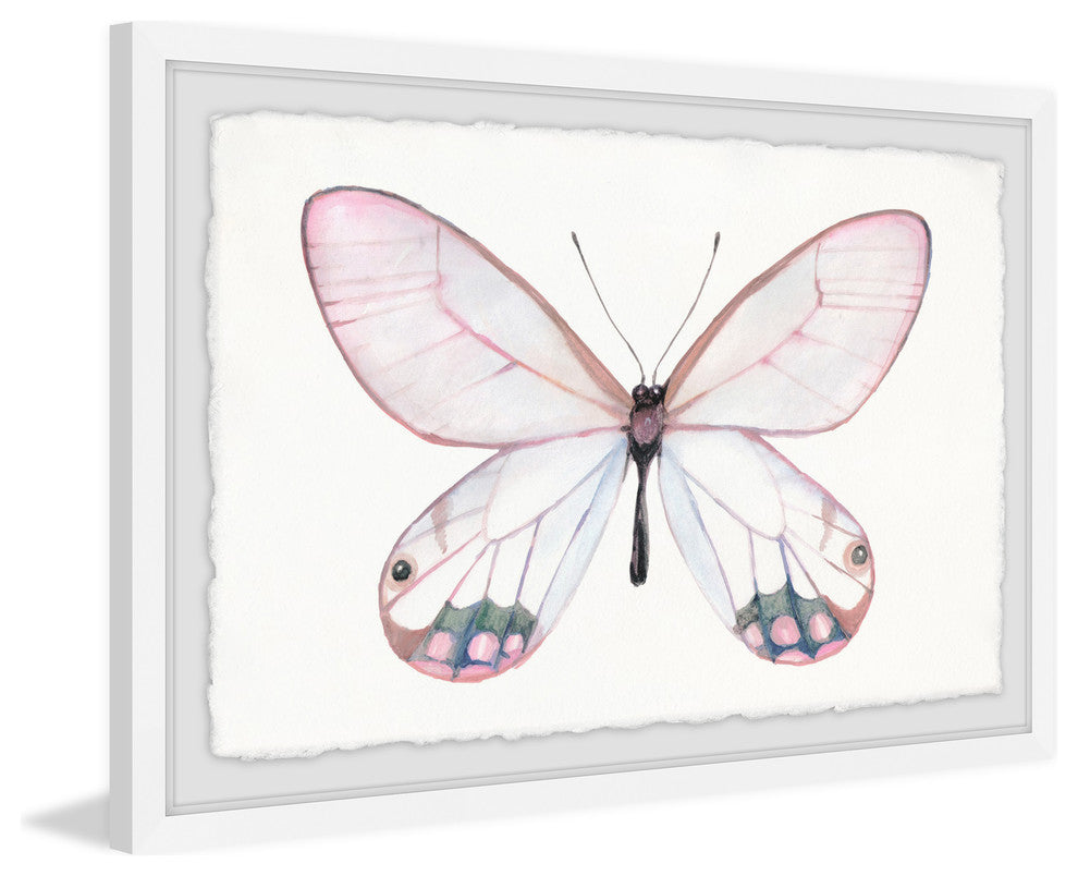 "Pale Pink Butterfly" Framed Painting Print, 30"x20"