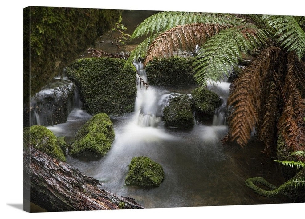 "Horseshoe Creek" Wrapped Canvas Art Print, 24"x16"x1.5"