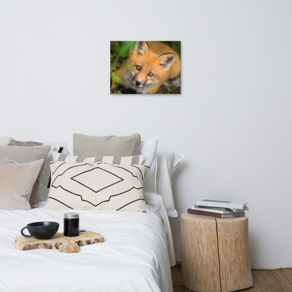 Young Red Fox Face Animal Wildlife Nature Photograph Canvas Wall Art Prints, 18" X 24"