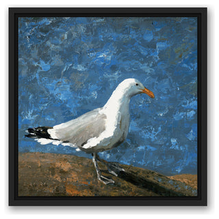 Painted Coastal Seagull 16x16 Black Floating Framed Canvas