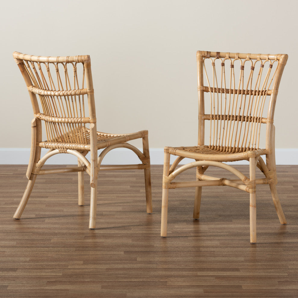 Ammi Modern Bohemian Natural Brown Rattan 2-Piece Dining Chair Set