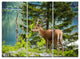 "Deer Stag near the Lake" Canvas Art Print, 3 Panels, 36"x28"